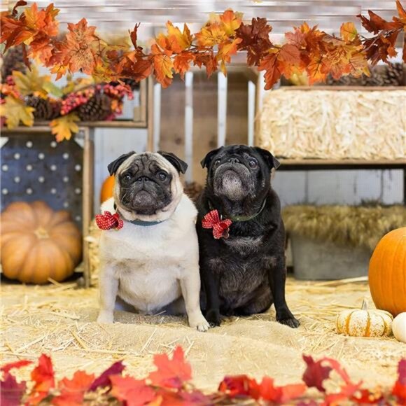 House 2 Pack Fall Maple Leaf Garland - 5.9Ft/Piece Hanging Vine Artificial - Picture 5 of 8